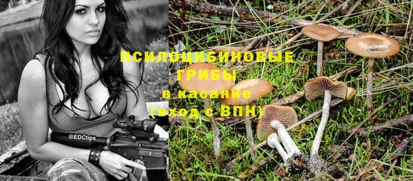 MESCALINE Абинск