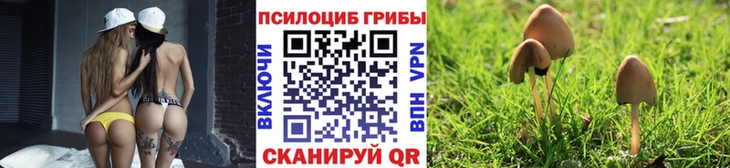 Псилоцибиновые грибы GOLDEN TEACHER  shop формула  Кириллов 