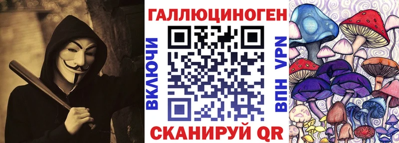 Галлюциногенные грибы Psilocybine cubensis Кириллов